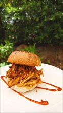 Pulled chicken burger on a plate