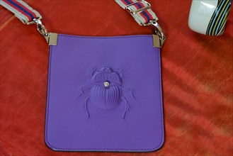 Fashionable handbag with a scarab motif