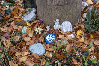 Mementos such as a stone with blue and white S04 for a Schalke 04 football fan