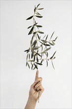 Abstract minimal plant being help hand