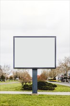 Blank vertical street billboard poster green grass city road