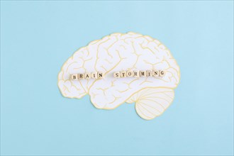 Brain storming blocks white brain against blue background