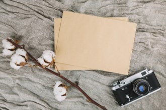 Camera with blank paper cotton branch