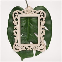 Carving rectangular wooden frame green single monestra leaf against backdrop
