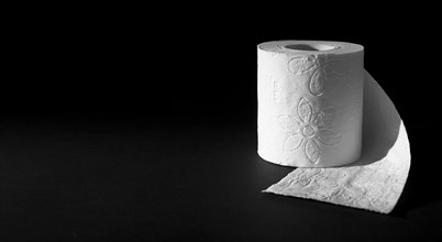 Copy space toilet paper roll