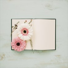 Flowers pages notebook
