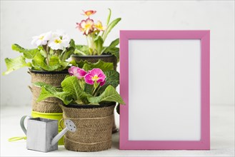 Frame beside flowers pots