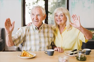 Friendly elderly couple waving with hands