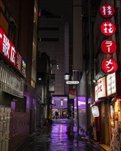 Japan night signs urban landscape