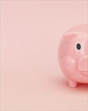 Pink piggy bank with copy space