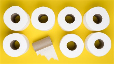 Top view toilet paper rolls with cardboard core