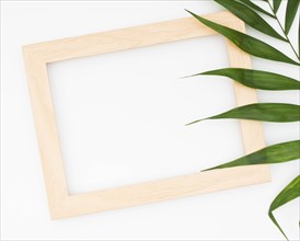 Wooden border picture frame green palm isolated white background