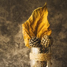 Arrangement with dried yellow leaf cones