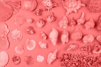 Assortment seashells coral color against background