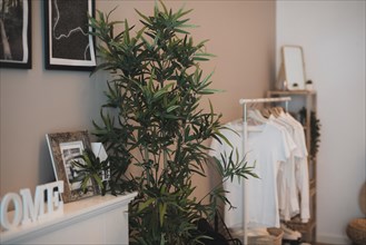 Corner room whit simple wardrobe plant