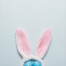 Crop bunny ears eggs