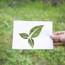 Crop hand with eco leaves symbol