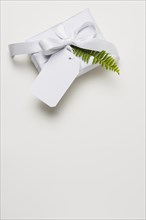 Decorated present white backdrop with empty space