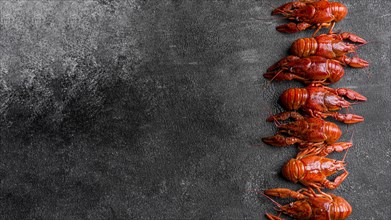 Delicious seafood lobster copy space