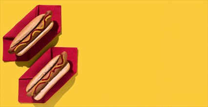 Flat lay delicious hot dogs copy space