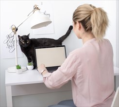 High angle lancer woman home desk with cat