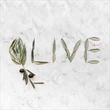 Olive word made with olive leaves marble backdrop