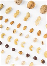 Overhead view walnuts peanuts almonds pistachios hazelnut cashew nuts white background