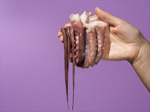 Purple background with hand holding octopus