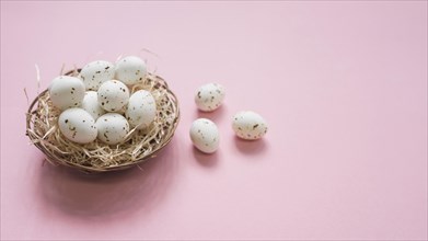 White eggs nest pink table