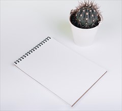 Blank spiral notepad near cactus bucket white background