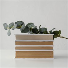 Books stack with plant white background