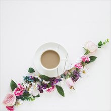 Coffee flowers