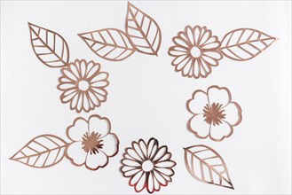 Cut out golden flowers leaves white background
