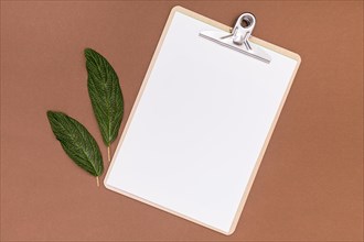 Empty clipboard mock up with walnut leaves