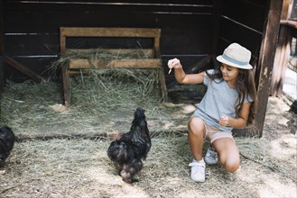 Girl feeding hens farm