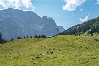 Peace and relaxation in the Karwendel mountains near the Engalmen