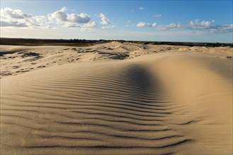 Travelling dune