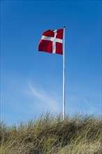 Danish flag waving in the wind