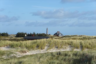 Dune landscape with the grey lighthouse in the background