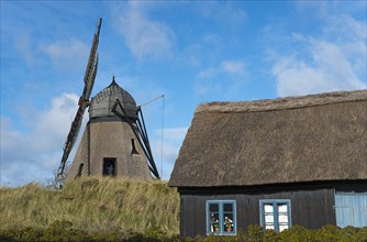 Dutch mill and thatched house