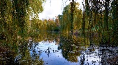 Pond in autumn in Thielpark