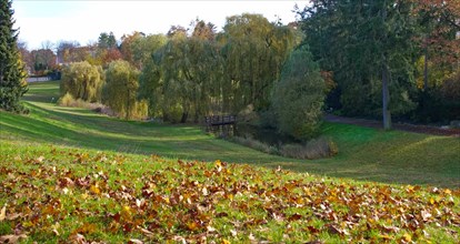Autumn in Thielpark