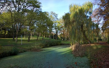 Pond in autumn in Thielpark