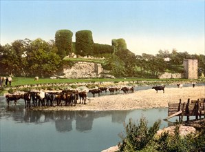 Rhuddlan Castle