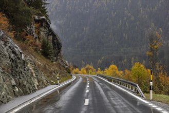 Rainy wet road in autumn