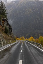 Rainy wet road in autumn