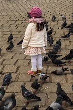 Little girl amid grey pigeons live in large groups in urban environment
