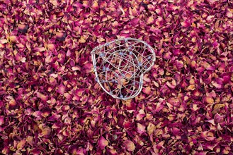 Heart shaped cage placed on dry rose petals