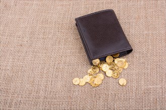 Wallet and plenty of fake gold coins on canvas