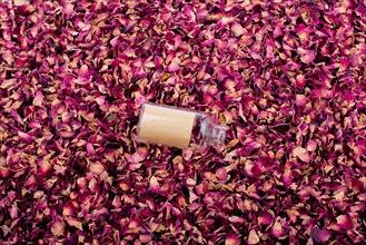 Empty bottle placed on dry rose petal background
